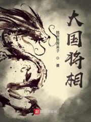 大国将相免费阅读