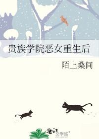 贵族学院系列